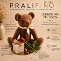 Chocoladebeer (1 week op voorhand te bestellen)