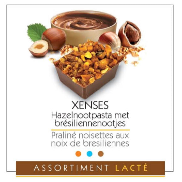 Xenses M (1KG)