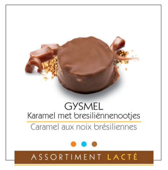 Gysmel M (1KG)